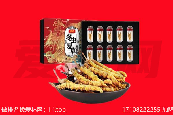 金门县回收虫草.jpg